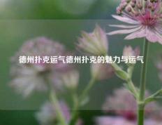 德州扑克运气德州扑克的魅力与运气