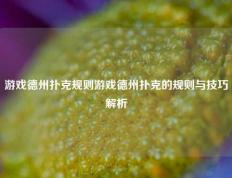 游戏德州扑克规则游戏德州扑克的规则与技巧解析