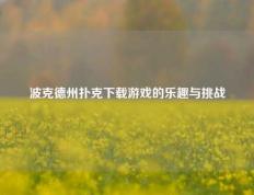 波克德州扑克下载游戏的乐趣与挑战