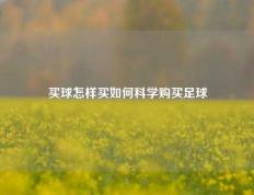 买球怎样买如何科学购买足球
