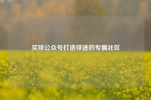 买球公众号打造球迷的专属社区