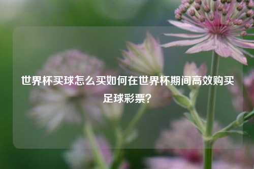 世界杯买球怎么买如何在世界杯期间高效购买足球彩票？