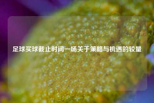 足球买球截止时间一场关于策略与机遇的较量