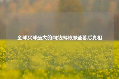 全球买球最大的网站揭秘那些幕后真相