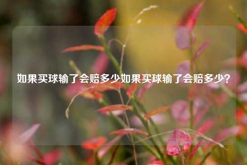 如果买球输了会赔多少如果买球输了会赔多少？