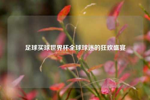 足球买球世界杯全球球迷的狂欢盛宴