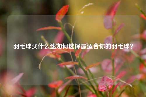 羽毛球买什么速如何选择最适合你的羽毛球？
