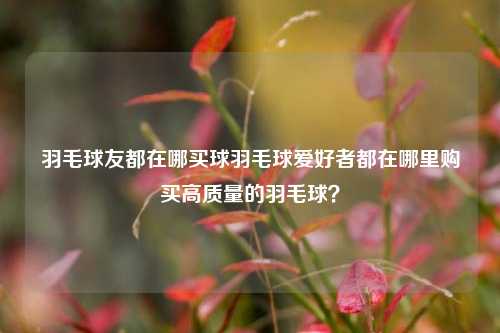 羽毛球友都在哪买球羽毛球爱好者都在哪里购买高质量的羽毛球？