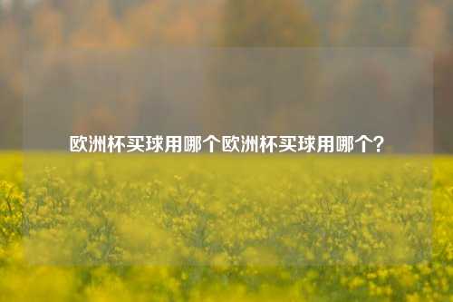 欧洲杯买球用哪个欧洲杯买球用哪个？