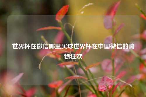 世界杯在微信哪里买球世界杯在中国微信的购物狂欢