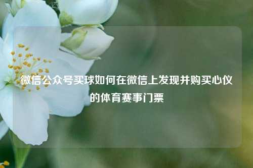 微信公众号买球如何在微信上发现并购买心仪的体育赛事门票