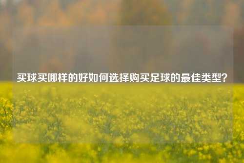买球买哪样的好如何选择购买足球的最佳类型？