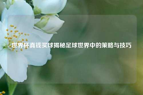 世界杯真钱买球揭秘足球世界中的策略与技巧
