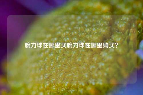 腕力球在哪里买腕力球在哪里购买？