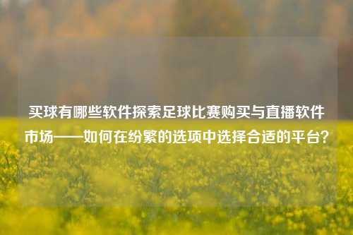 买球有哪些软件探索足球比赛购买与直播软件市场——如何在纷繁的选项中选择合适的平台？