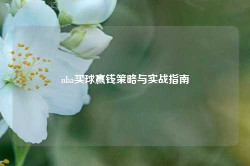nba买球赢钱策略与实战指南