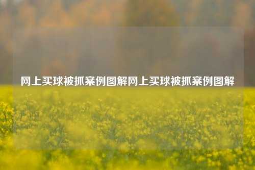 网上买球被抓案例图解网上买球被抓案例图解