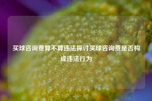 买球咨询费算不算违法探讨买球咨询费是否构成违法行为