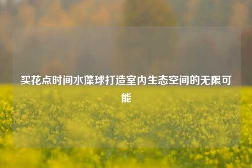 买花点时间水藻球打造室内生态空间的无限可能