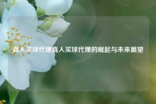 真人买球代理真人买球代理的崛起与未来展望