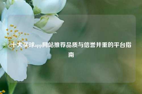 十大买球app网站推荐品质与信誉并重的平台指南