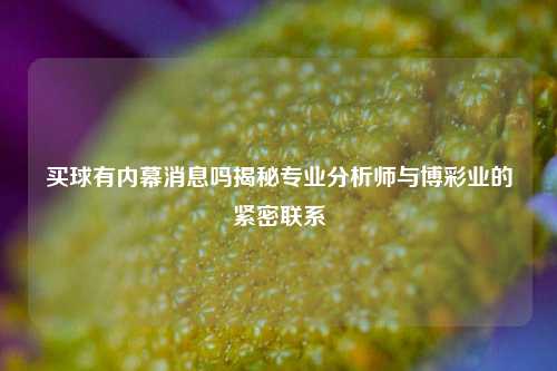 买球有内幕消息吗揭秘专业分析师与博彩业的紧密联系