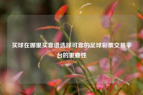 买球在哪里买靠谱选择可靠的足球彩票交易平台的重要性