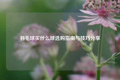 羽毛球买什么球选购指南与技巧分享