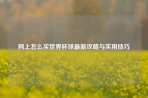 网上怎么买世界杯球最新攻略与实用技巧