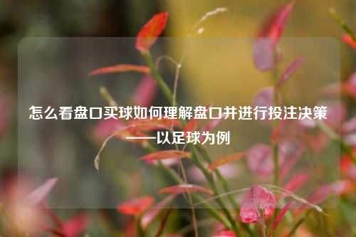 怎么看盘口买球如何理解盘口并进行投注决策——以足球为例