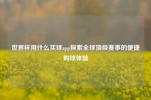 世界杯用什么买球app探索全球顶级赛事的便捷购球体验
