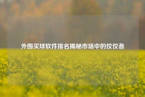 外围买球软件排名揭秘市场中的佼佼者