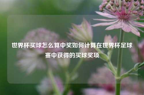世界杯买球怎么算中奖如何计算在世界杯足球赛中获得的买球奖项
